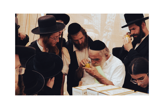 一絲不苟 A Devout Gaze